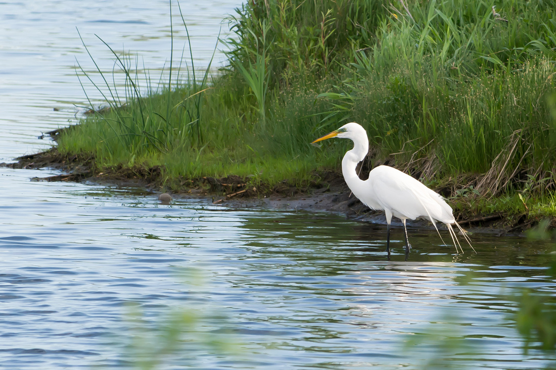 20150518-_DSC5790