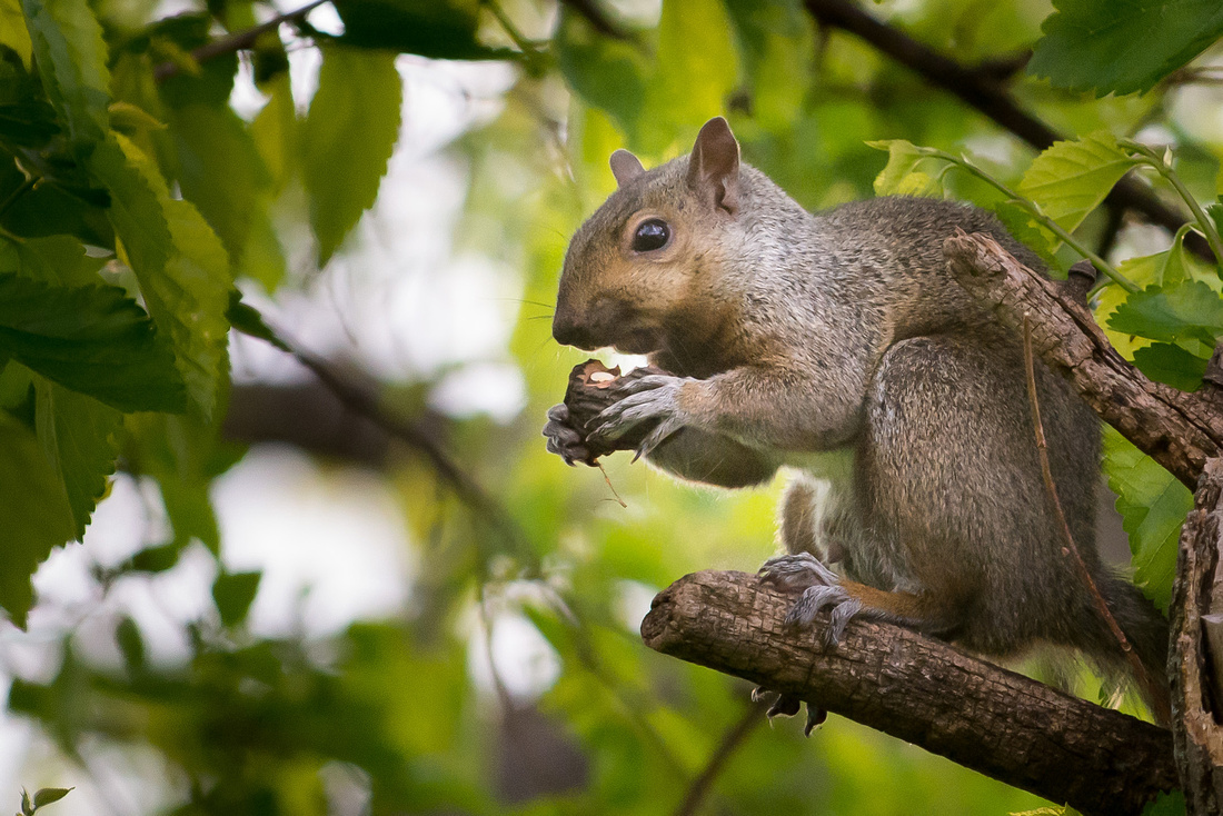 20150520-_DSC5903