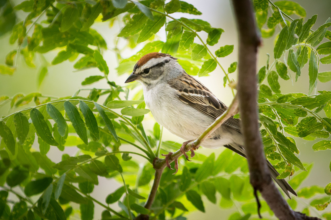 20150524-_DSC6137