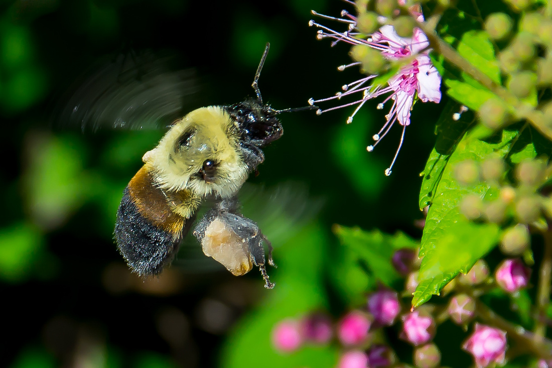 20150608-_DSC7990