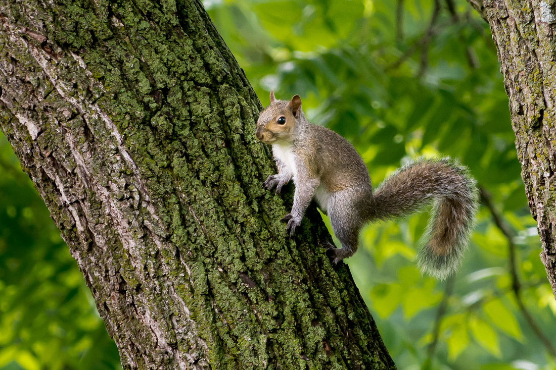 20150617-_DSC8644-2