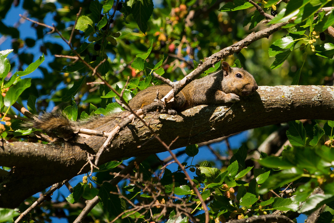 20150623-_DSC9209