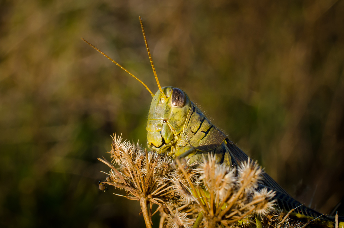 20150915-DSC_7018