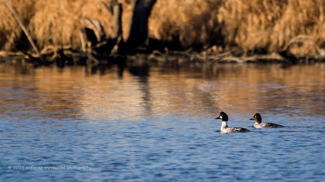 20151209-_DSC8132