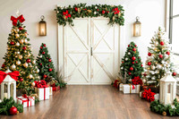 Christmas package00038resized