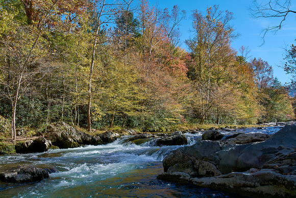 _DSC2302