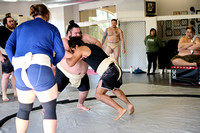CJS_8571
