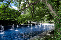 Art Institute Garden