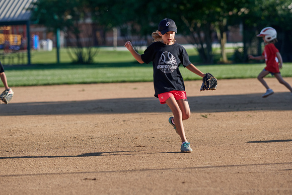 CJS_1561