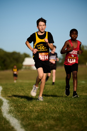 CJS_8186